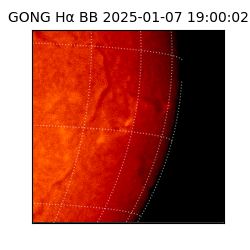 gong - 2025-01-07T19:00:02
