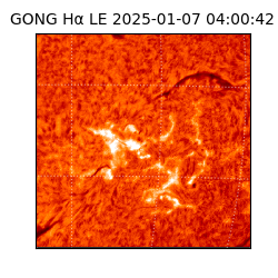 gong - 2025-01-07T04:00:42