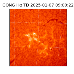 gong - 2025-01-07T09:00:22