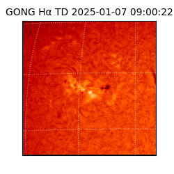 gong - 2025-01-07T09:00:22