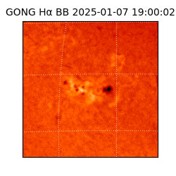 gong - 2025-01-07T19:00:02