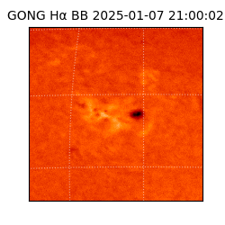 gong - 2025-01-07T21:00:02