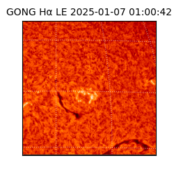 gong - 2025-01-07T01:00:42