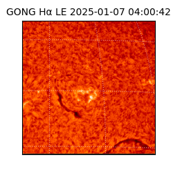 gong - 2025-01-07T04:00:42