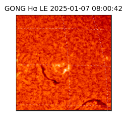 gong - 2025-01-07T08:00:42