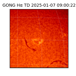 gong - 2025-01-07T09:00:22
