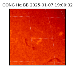 gong - 2025-01-07T19:00:02