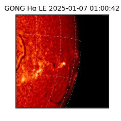 gong - 2025-01-07T01:00:42