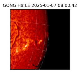 gong - 2025-01-07T08:00:42