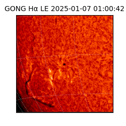 gong - 2025-01-07T01:00:42