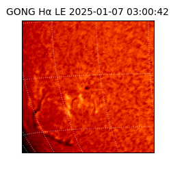 gong - 2025-01-07T03:00:42