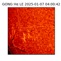 gong - 2025-01-07T04:00:42