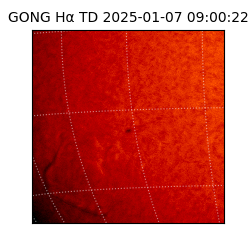 gong - 2025-01-07T09:00:22