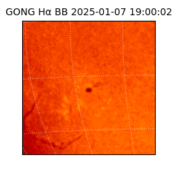 gong - 2025-01-07T19:00:02