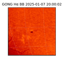 gong - 2025-01-07T20:00:02