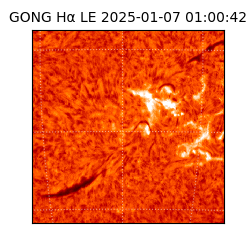 gong - 2025-01-07T01:00:42