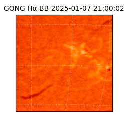 gong - 2025-01-07T21:00:02