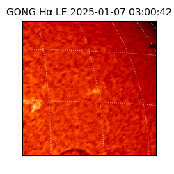 gong - 2025-01-07T03:00:42