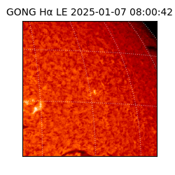 gong - 2025-01-07T08:00:42