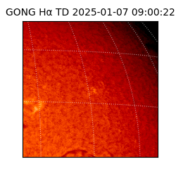 gong - 2025-01-07T09:00:22