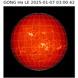 gong - 2025-01-07T03:00:42