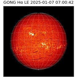 gong - 2025-01-07T07:00:42