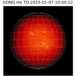 gong - 2025-01-07T10:00:22