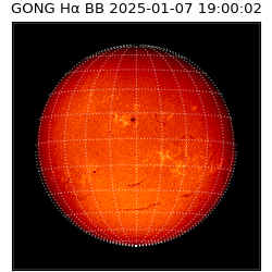 gong - 2025-01-07T19:00:02