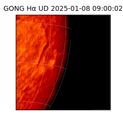 gong - 2025-01-08T09:00:02