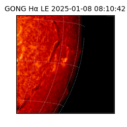 gong - 2025-01-08T08:10:42