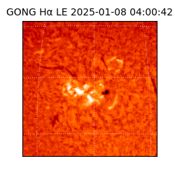 gong - 2025-01-08T04:00:42