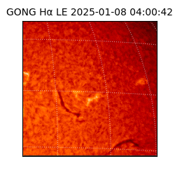 gong - 2025-01-08T04:00:42