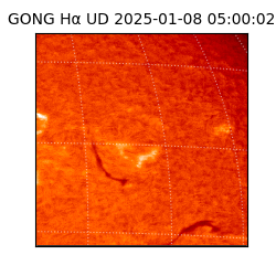gong - 2025-01-08T05:00:02