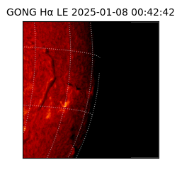 gong - 2025-01-08T00:42:42