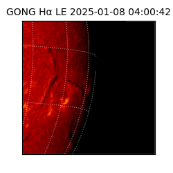 gong - 2025-01-08T04:00:42