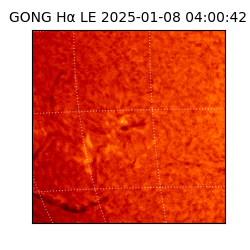 gong - 2025-01-08T04:00:42