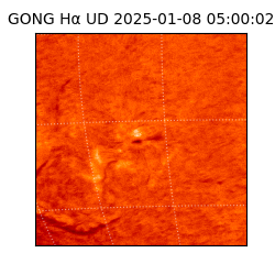 gong - 2025-01-08T05:00:02