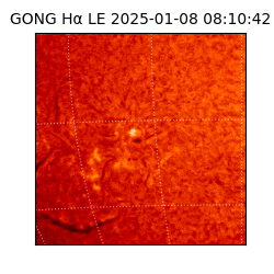 gong - 2025-01-08T08:10:42