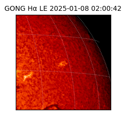 gong - 2025-01-08T02:00:42