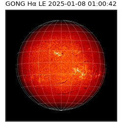 gong - 2025-01-08T01:00:42