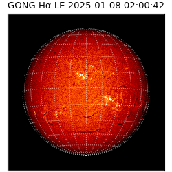 gong - 2025-01-08T02:00:42