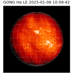 gong - 2025-01-08T10:09:42