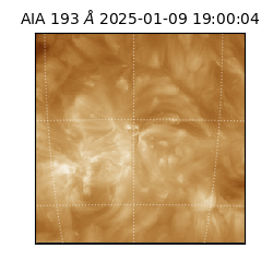 saia - 2025-01-09T19:00:04.844000