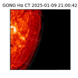 gong - 2025-01-09T21:00:42