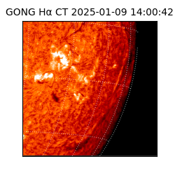 gong - 2025-01-09T14:00:42
