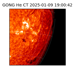 gong - 2025-01-09T19:00:42