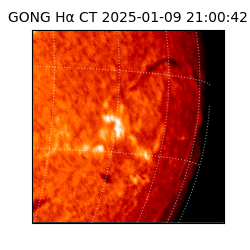 gong - 2025-01-09T21:00:42