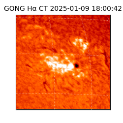 gong - 2025-01-09T18:00:42