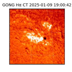 gong - 2025-01-09T19:00:42