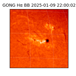 gong - 2025-01-09T22:00:02